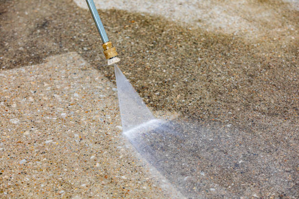 Best Building Exterior Washing  in Seminole Manor, FL